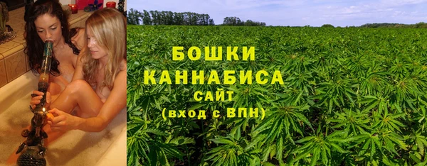 прущие грибы Аркадак