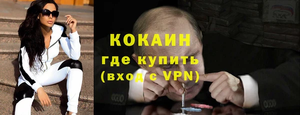 прущие грибы Аркадак