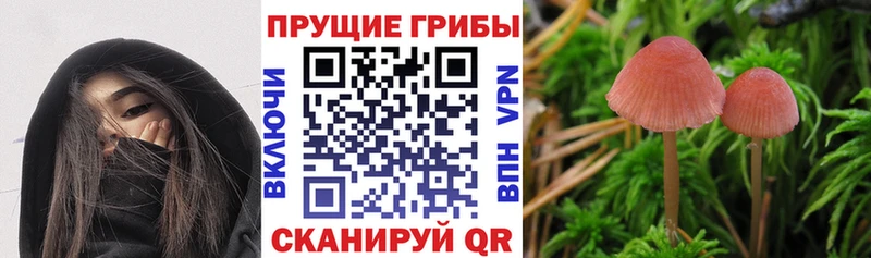 Галлюциногенные грибы мухоморы купить сайты Болотное