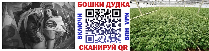 где можно купить наркотик  Болотное  Марихуана Bruce Banner 